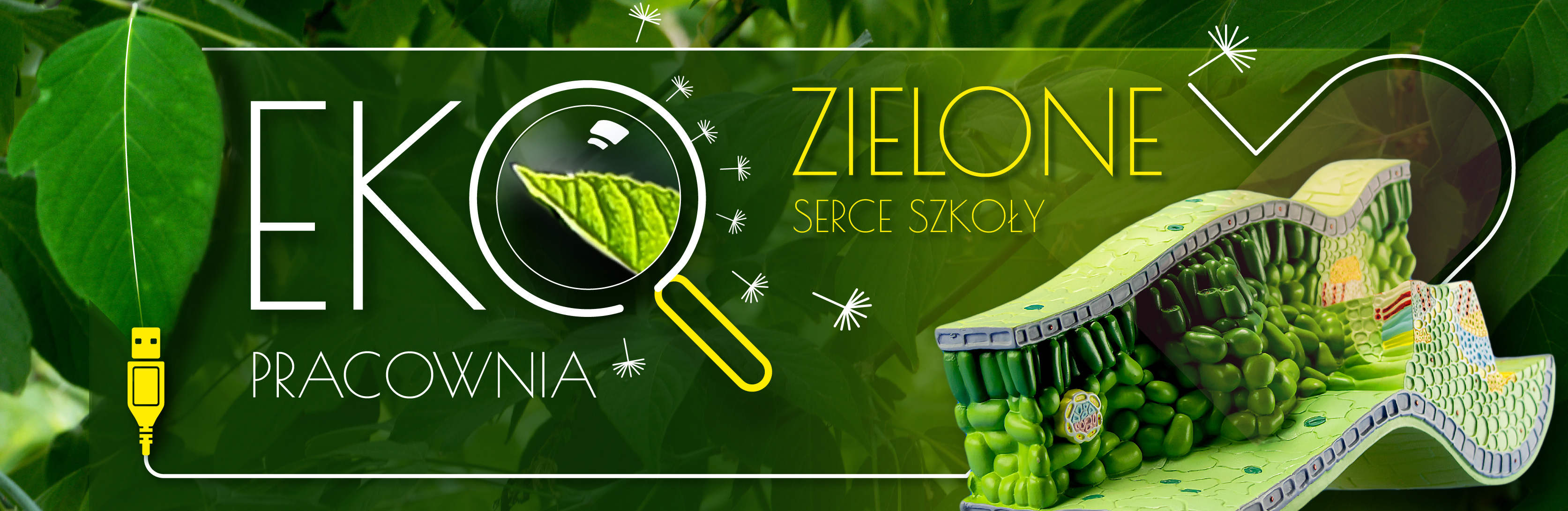Ekopracownia Zielone serce Szkoły 2023 wyposażenie szkolnej pracowni w edukacyjne pomoce do edukacji ekologicznej